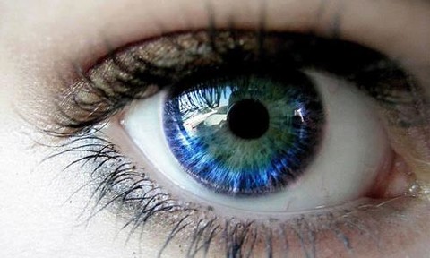 Cá hồi tốt cho mắt